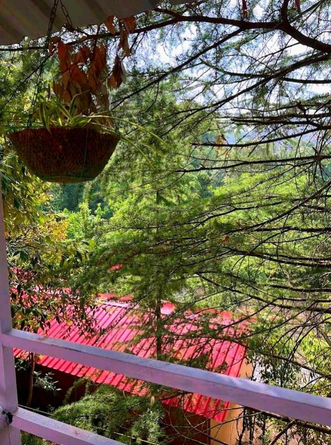 Aamod Resorts Dalhousie ! Luxury Cottage Resort Экстерьер фото